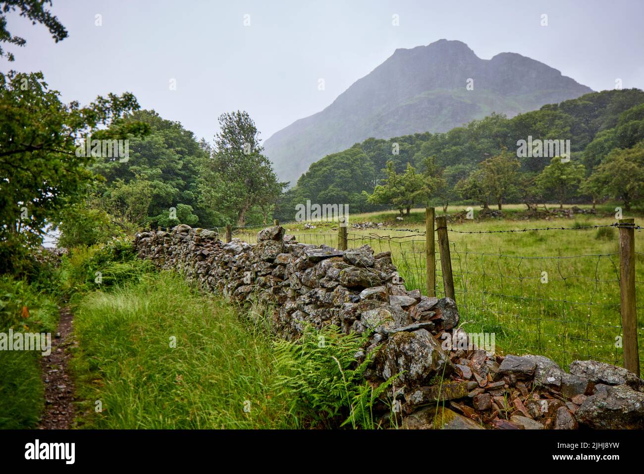 La promenade de pub dans le Lake District, Cumbria dans le nord-ouest de l'Angleterre, en prenant dans Crummock Water. Photo d'un chemin étroit vers le lac avec Mellbreak visible Banque D'Images