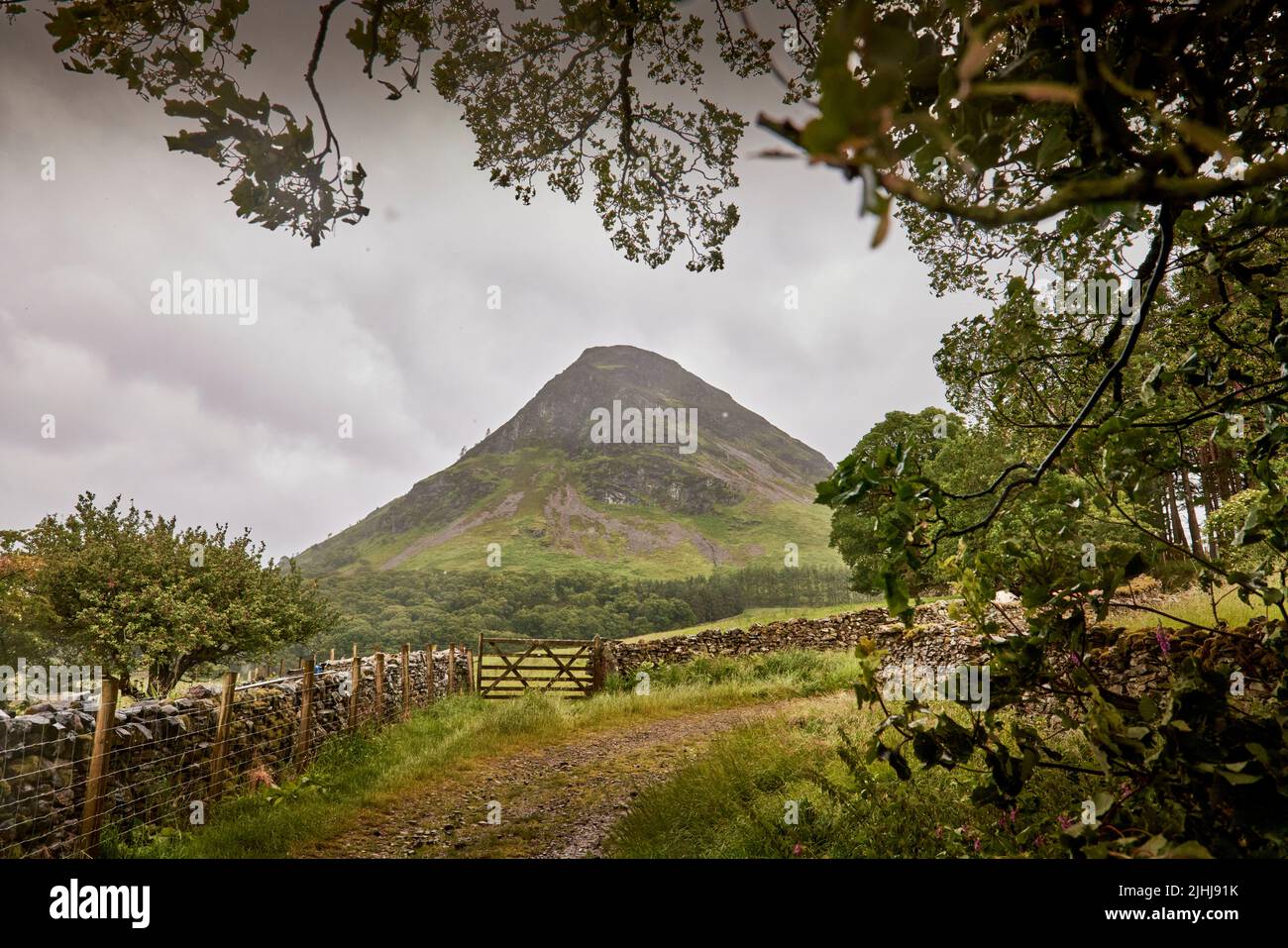 La promenade de pub dans le Lake District, Cumbria dans le nord-ouest de l'Angleterre, Crummock Water, Mellbreak sommet de montagne Banque D'Images