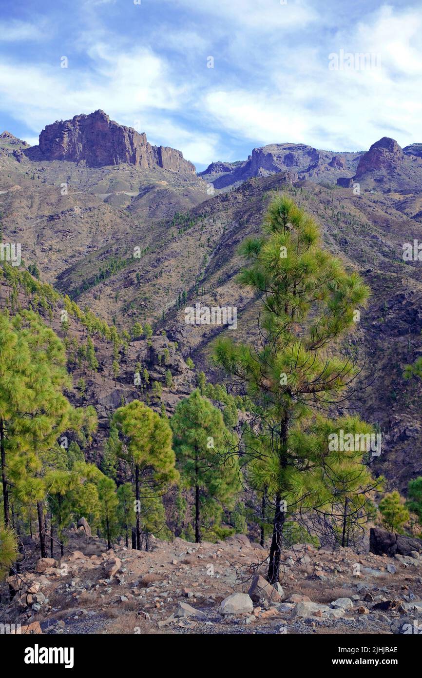 Paysages de montagne sur la route GC-605, à l'intérieur des îles Canaries, Espagne, Europe Banque D'Images