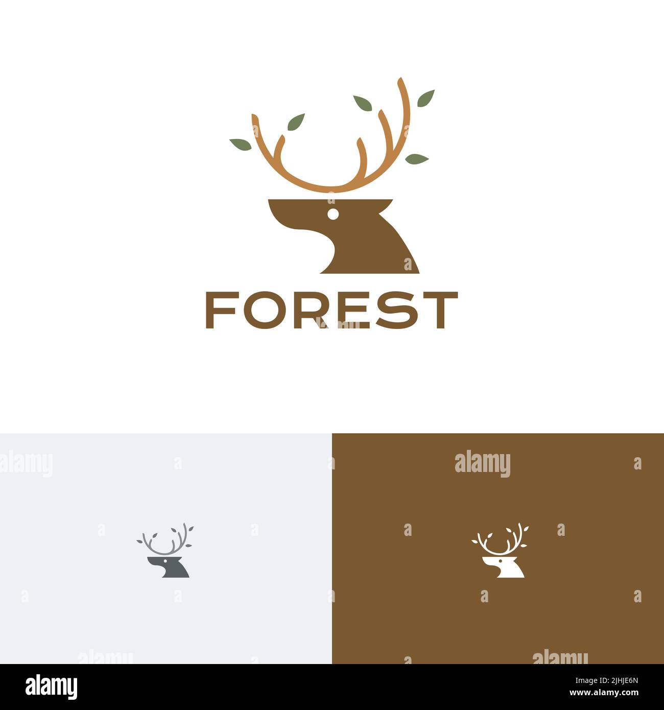 Forêt Jungle Deer Antler animal mère nature logo Illustration de Vecteur