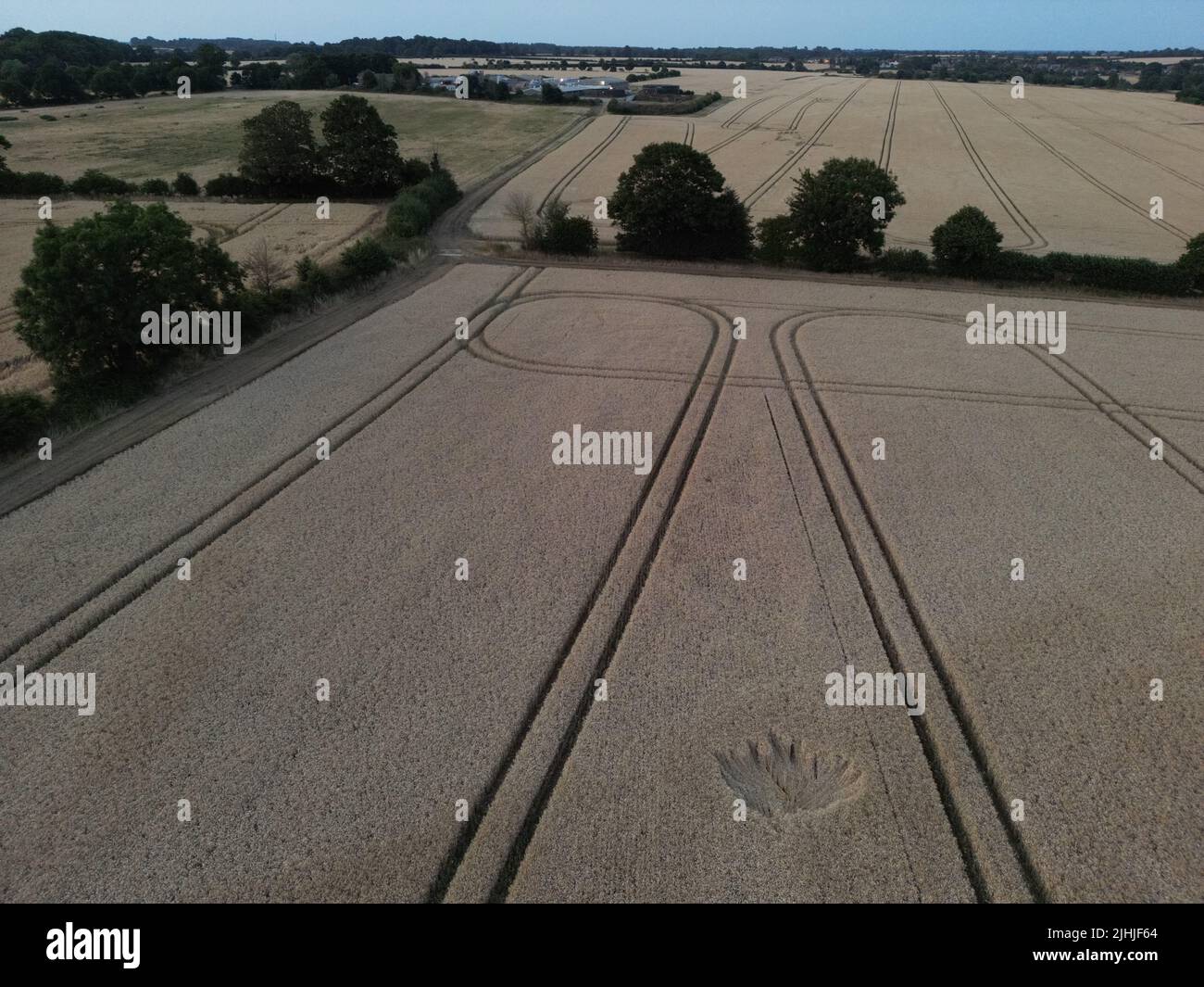 Formation de la récolte du diable de tonte. Northamptonshire. Angleterre. ROYAUME-UNI Banque D'Images