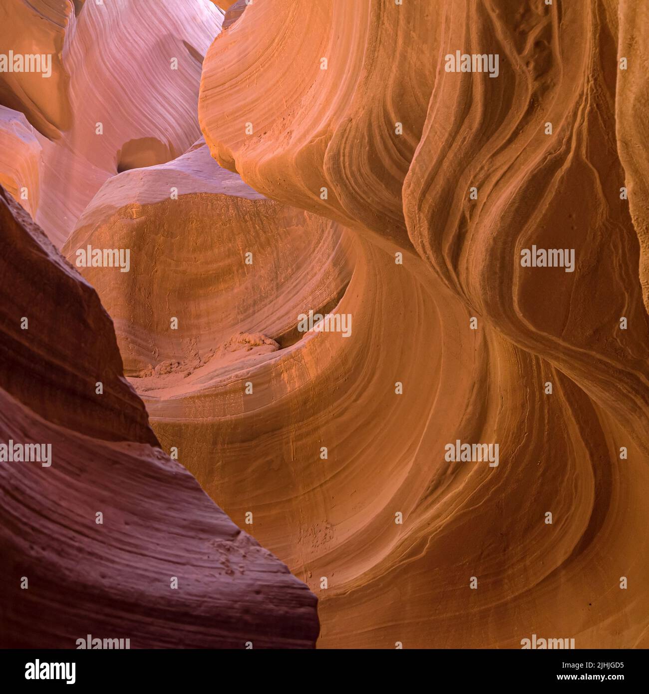 Formes en grès lisses dans le Lower Antelope Canyon, Arizona, États-Unis. Banque D'Images