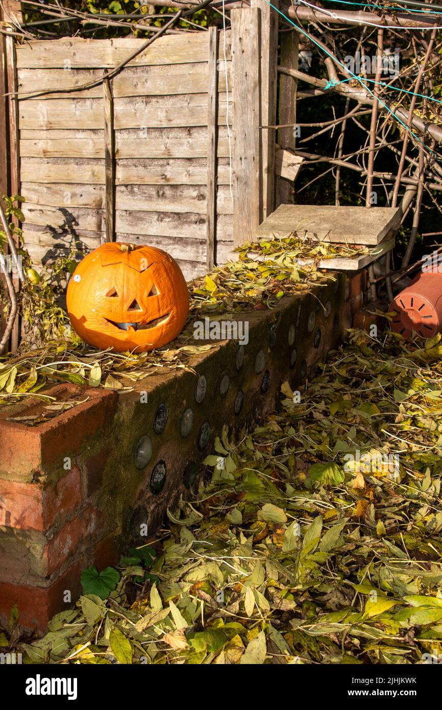Sheffield, Royaume-Uni - 31 octobre 2019 : une citrouille à rotation lente o lanterne abandonnée parmi les mess et les feuilles d'automne tombées dans mon jardin arrière Banque D'Images