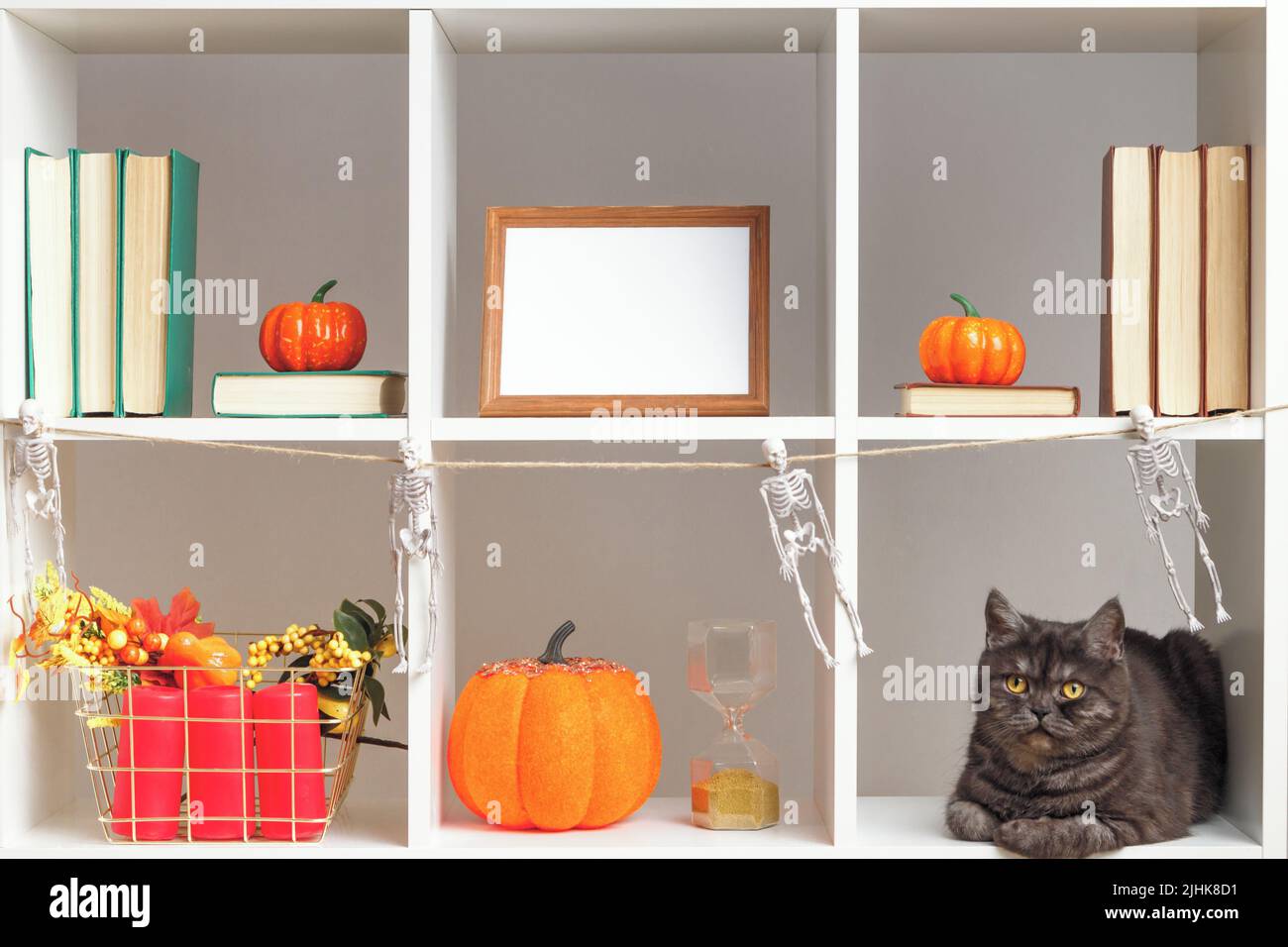 Décoration intérieure pour Halloween. Étagères blanches cadres photo de chat noir livres citrouilles. Banque D'Images