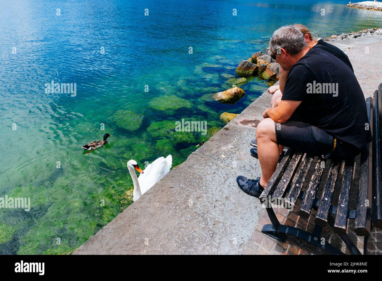 Les touristes observant la vie des oiseaux du lac de Garde. Promenade de Torbole. Nago–Torbole est une commune italienne de Trentin, dans la région du nord de l'Italie Banque D'Images