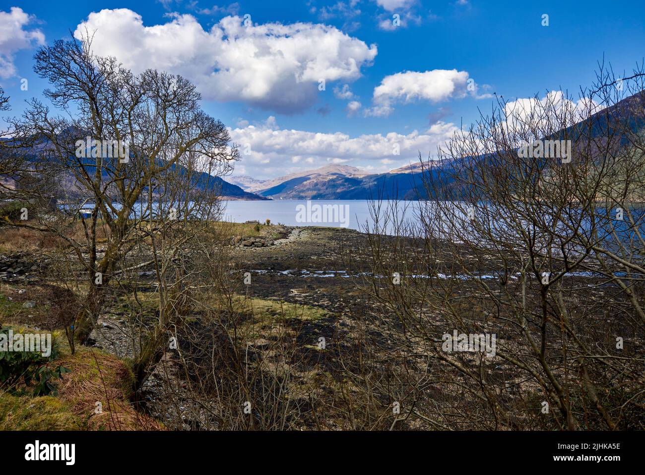 A marée basse et plage exposée, du château de Carrick vers le nord en direction de Lochgoilhead. Argyll et Bute. Écosse Banque D'Images