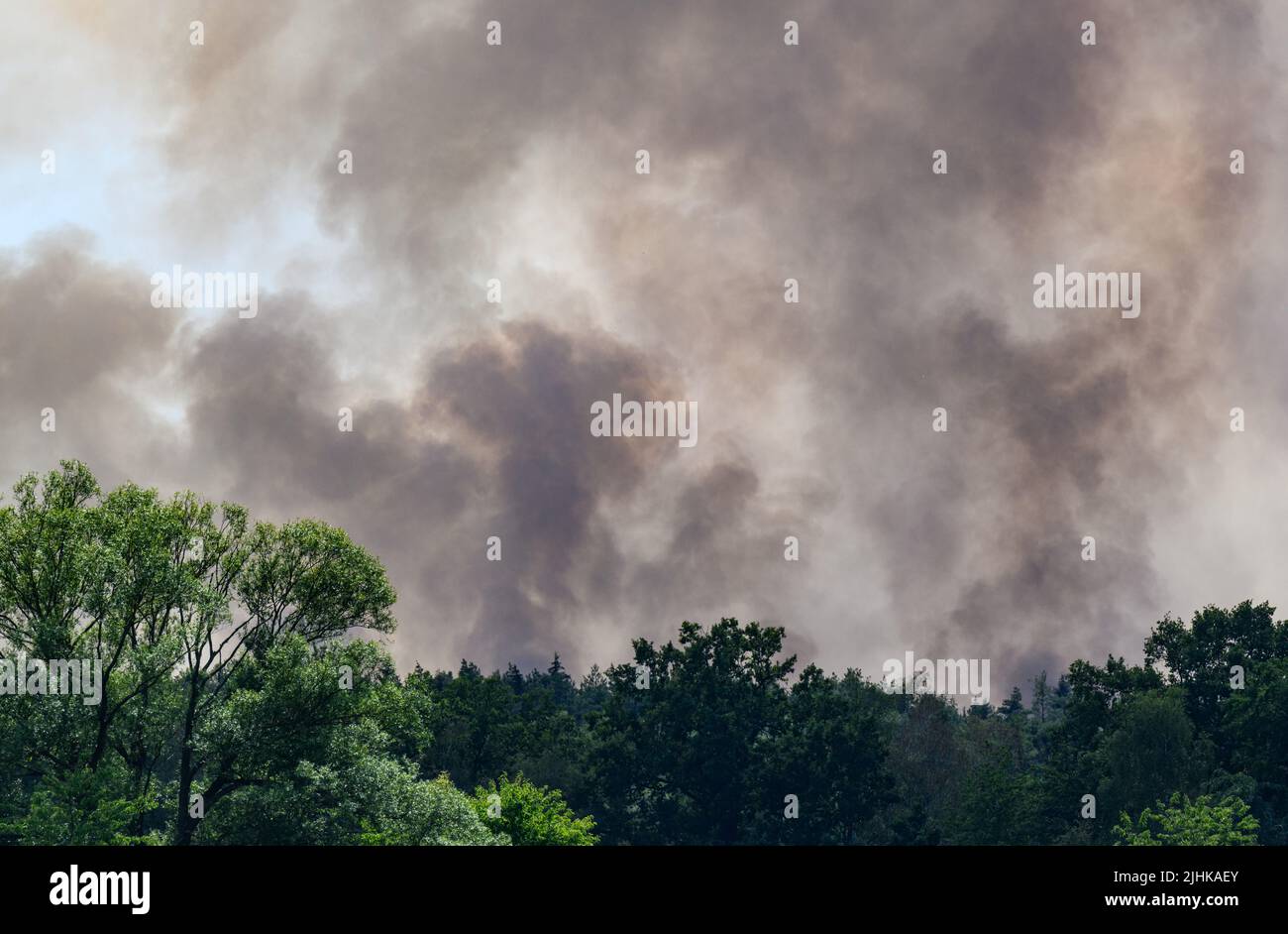 Radeburg, Allemagne. 19th juillet 2022. La fumée s'élève d'une forêt dans le Königsbrücker Heide près de Radeburg. Crédit : Robert Michael/dpa/Alay Live News Banque D'Images