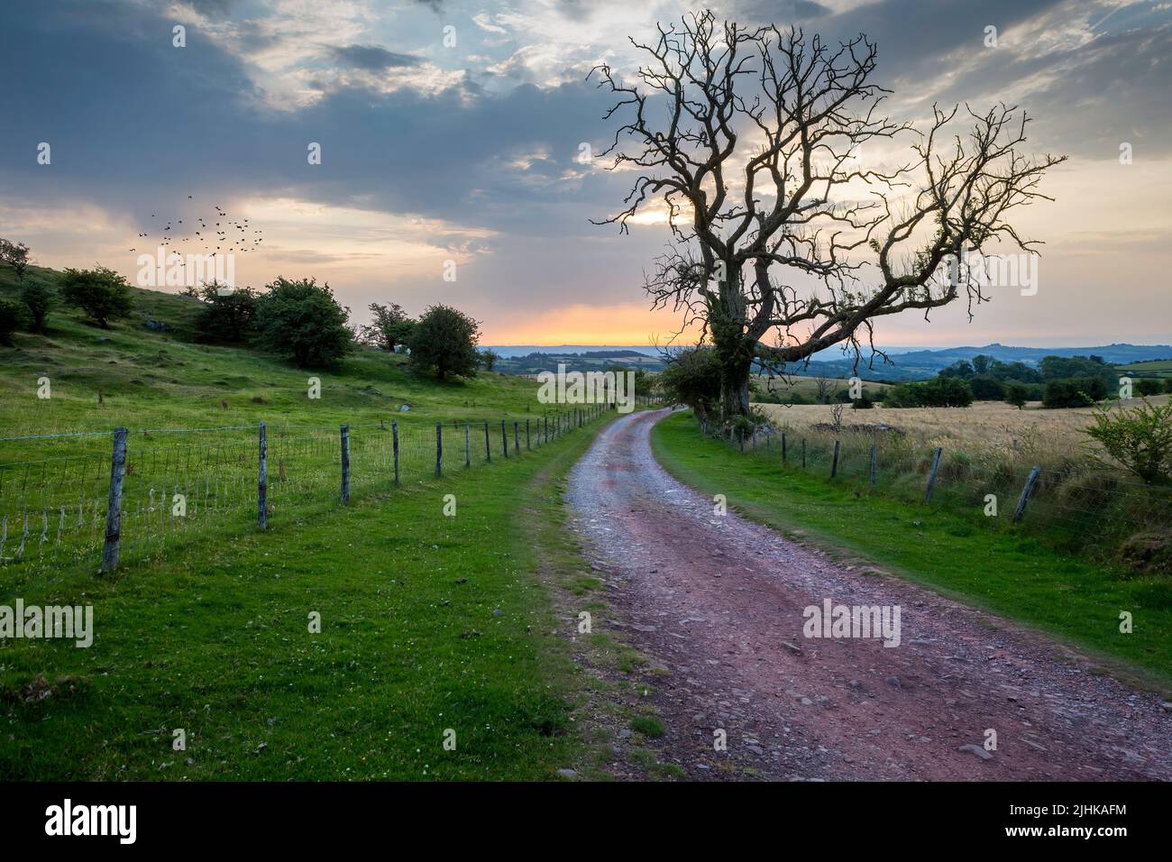Un chemin à travers les collines au coucher du soleil dans le sud du pays de Galles du Royaume-Uni Banque D'Images