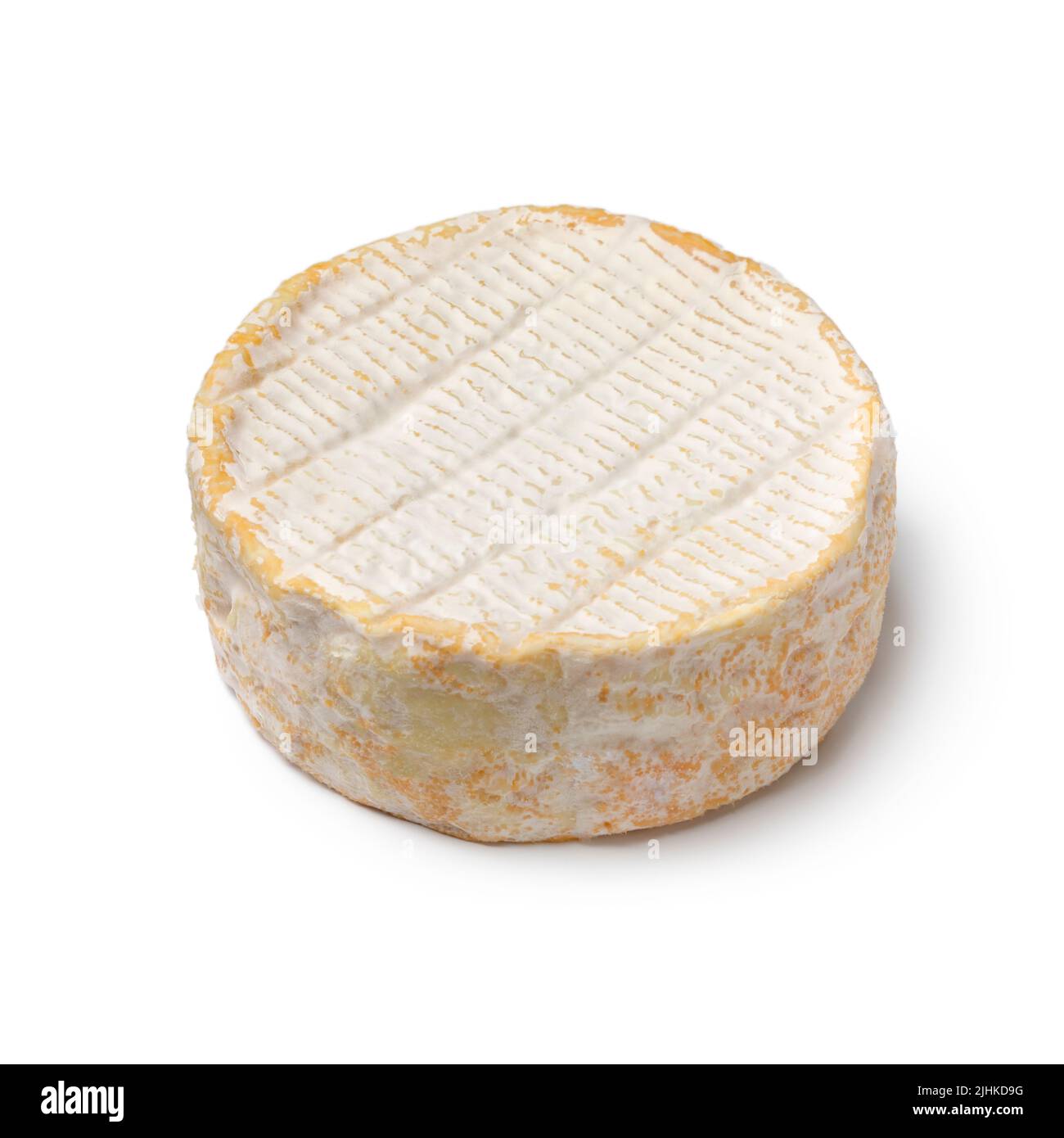 Un fromage de brebis doux isolé sur fond blanc gros plan Banque D'Images
