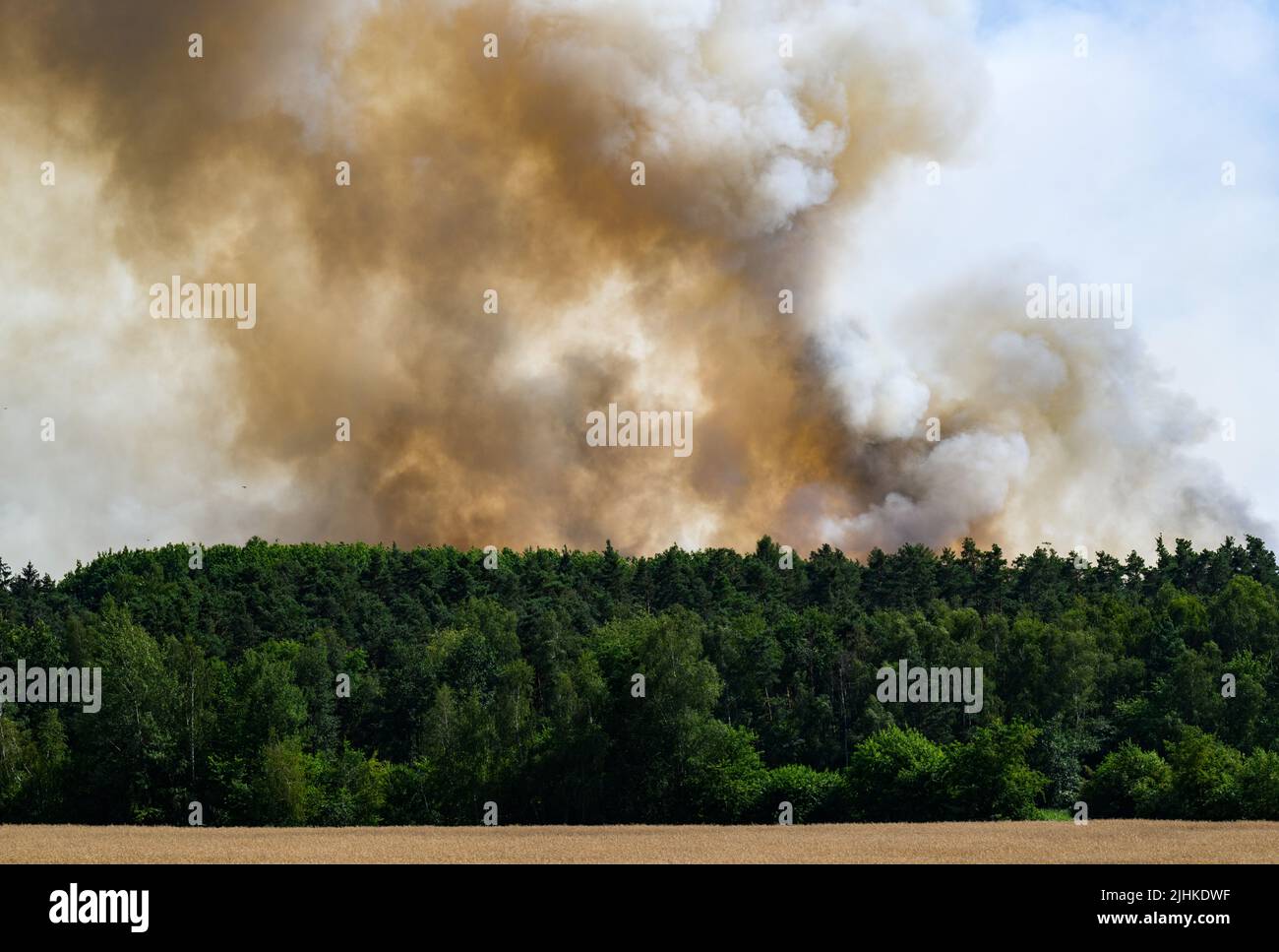 Radeburg, Allemagne. 19th juillet 2022. La fumée s'élève d'une forêt dans le Königsbrücker Heide près de Radeburg. Crédit : Robert Michael/dpa/Alay Live News Banque D'Images