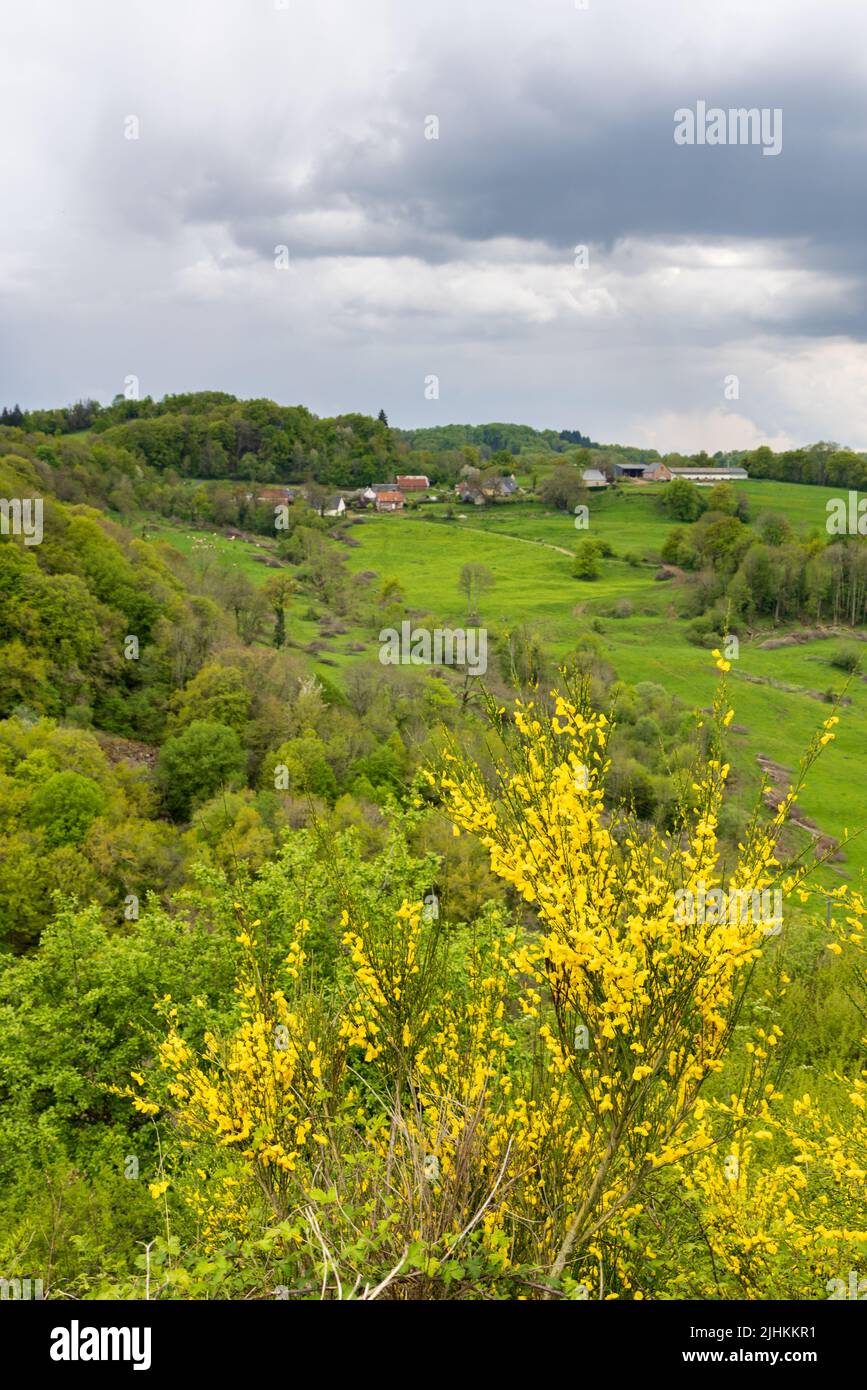 Paysage région d'Auvergnes avec ferme et fureur en fleurs Banque D'Images