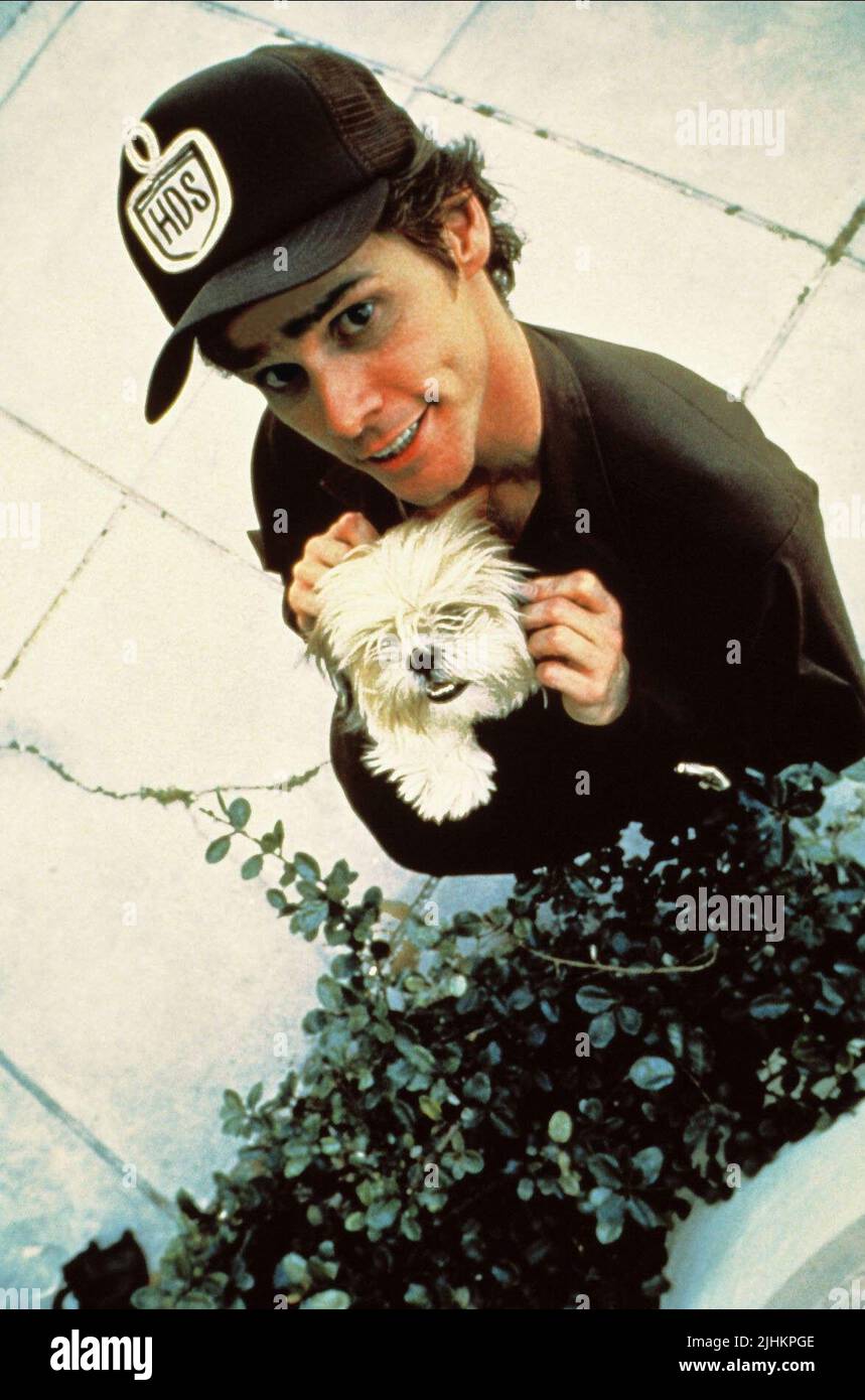 JIM CARREY, Ace Ventura : PET DETECTIVE, 1994 Banque D'Images