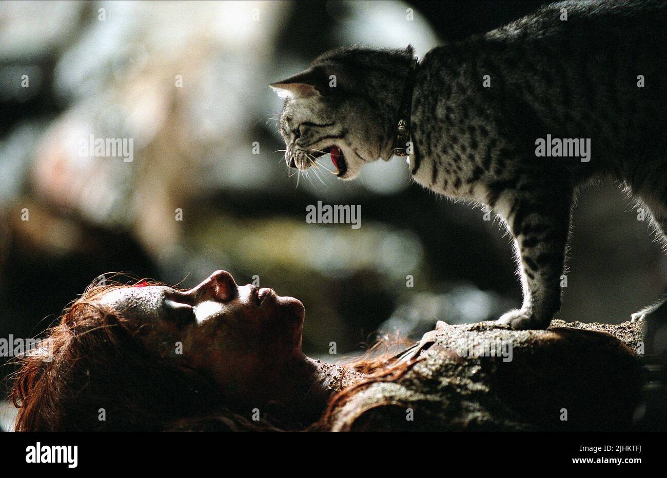 HALLE BERRY, CAT, Catwoman, 2004 Banque D'Images