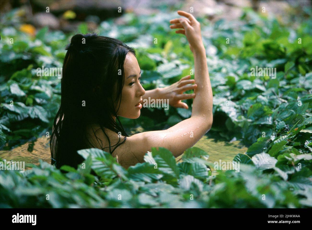 ZIYI ZHANG, HOUSE OF FLYING DAGGERS, 2004 Banque D'Images