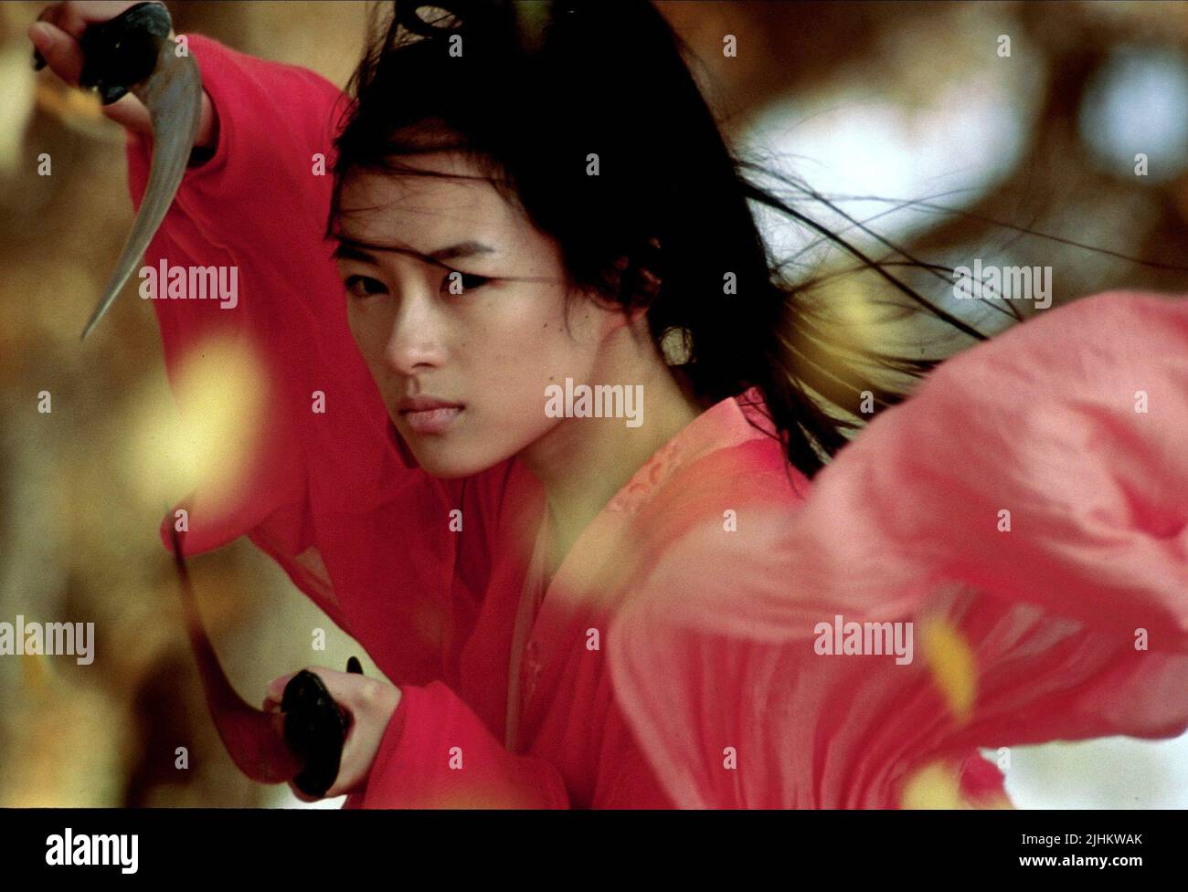 ZIYI ZHANG, héros, 2002 Banque D'Images
