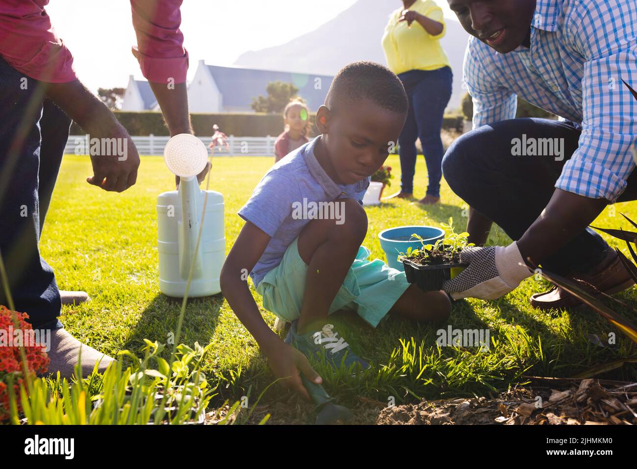 Garçon multiracial avec père et grand-père creusant des terres et plantant des jeunes arbres dans la cour le jour ensoleillé Banque D'Images