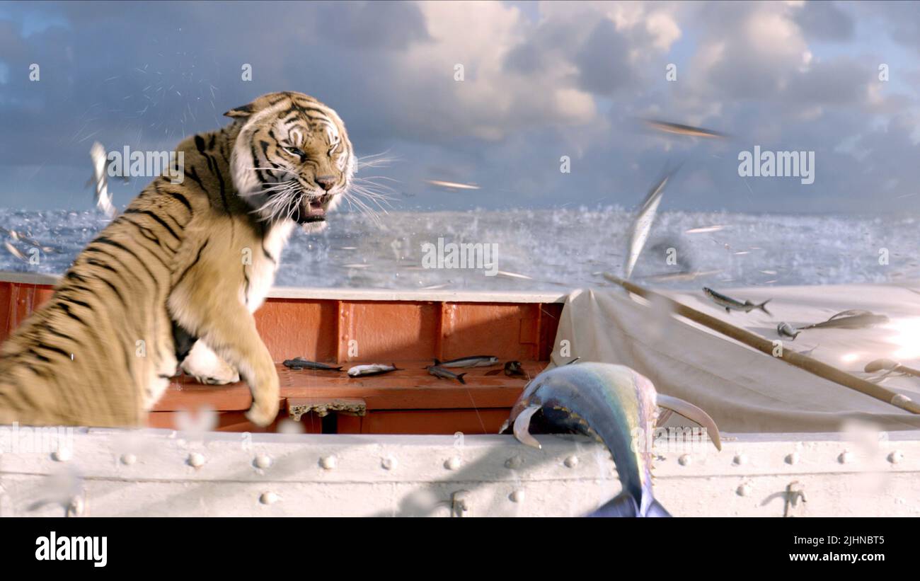 TIGER, LIFE OF PI, 2012 Banque D'Images