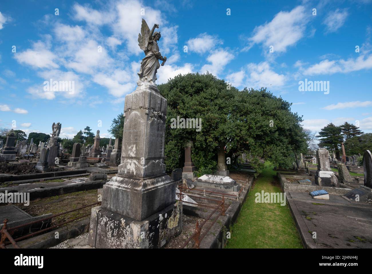 Une statue d'ange dans une partie du cimetière de Waikaraka à Auckland, Nouvelle-Zélande. Banque D'Images