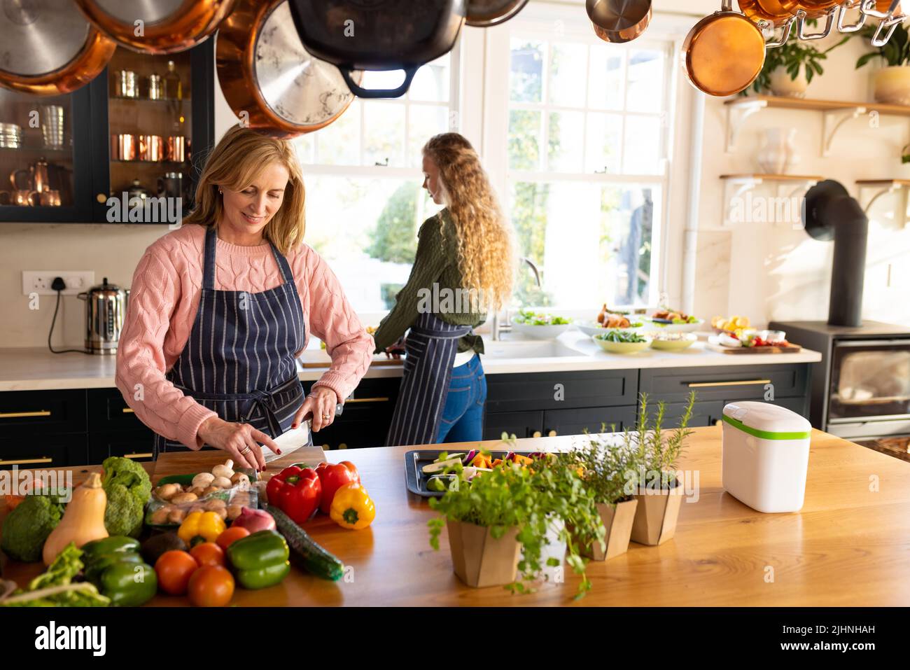 Image de la bonne mère caucasienne et de la fille adulte préparant le repas dans la cuisine Banque D'Images