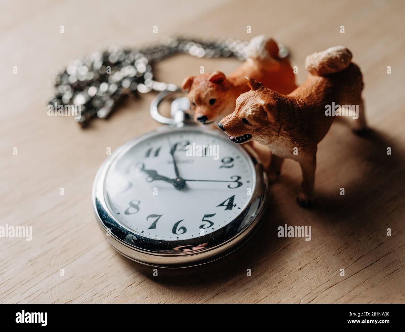 Figurine chien et montre de poche Banque D'Images