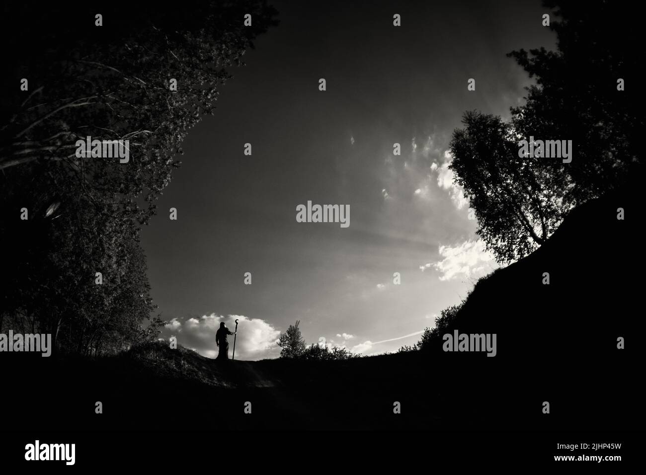 Un magicien avec un personnel regarde dans la distance Banque D'Images