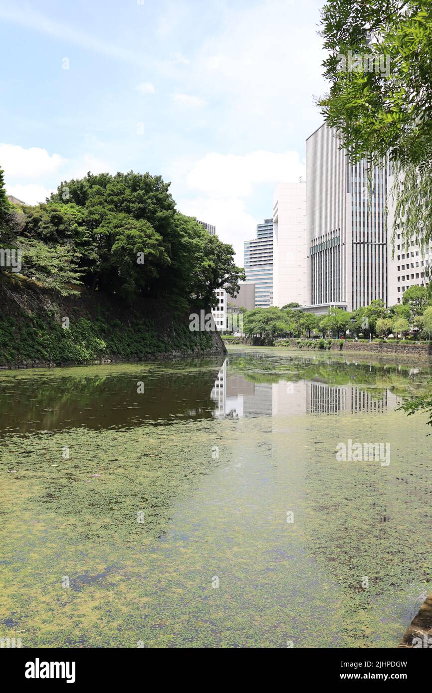 Japon, Chiyoda-ku, Tokyo, juillet 2022. Le fossé du Palais impérial. Banque D'Images