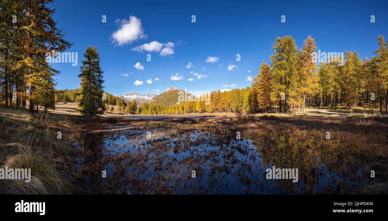 Lac de Roue dans le Parc naturel régional du Queyras en automne (panoramique). Arvieux dans les Hautes-Alpes (Alpes françaises). France Banque D'Images