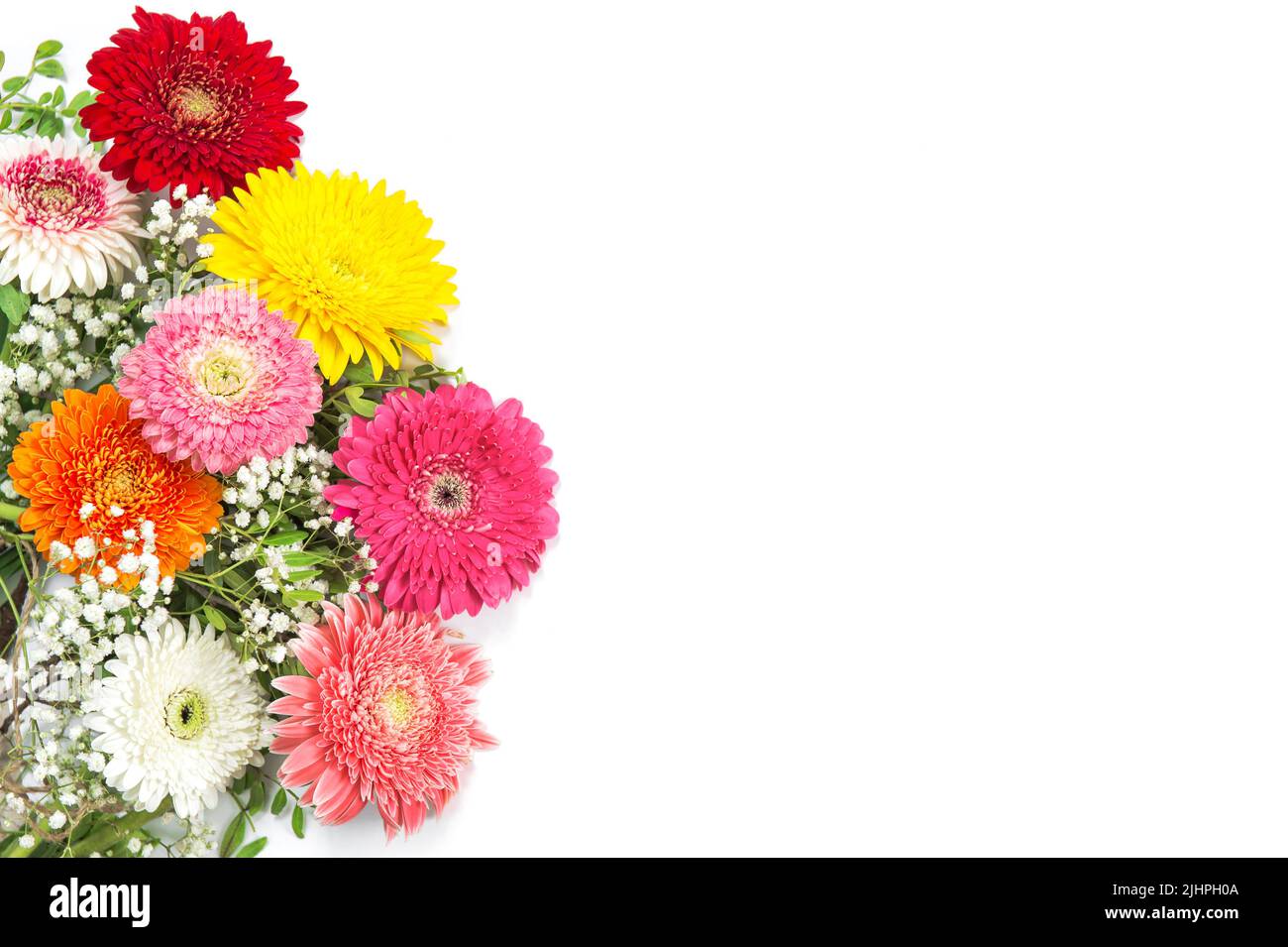 Arrangement floral. Bouquet de fleurs Gerbera sur fond blanc Banque D'Images