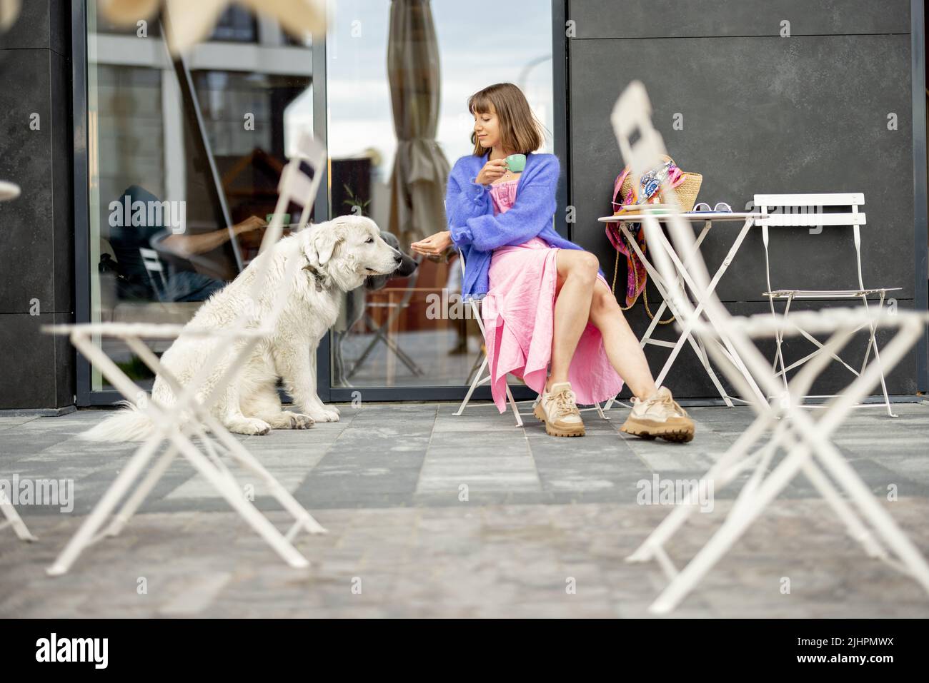 Elle est assise avec son adorable chien blanc au café dans une rue Banque D'Images