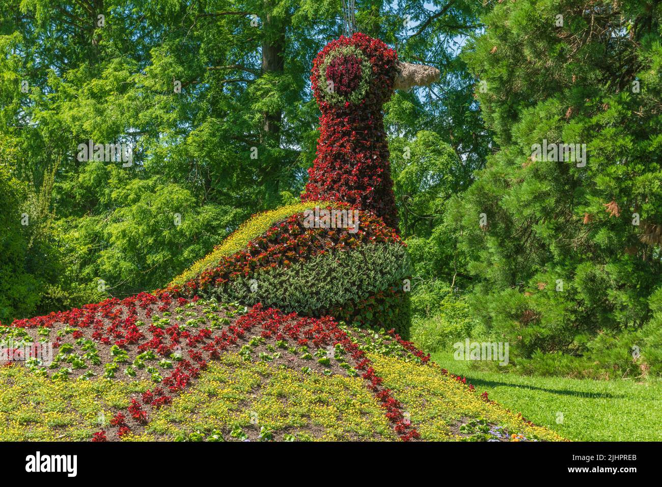 Sculptures de fleurs dans l'île aux fleurs du lac de Constance. Île Mainau, Bade-Wurtemberg, Konstanz, Allemagne. Banque D'Images