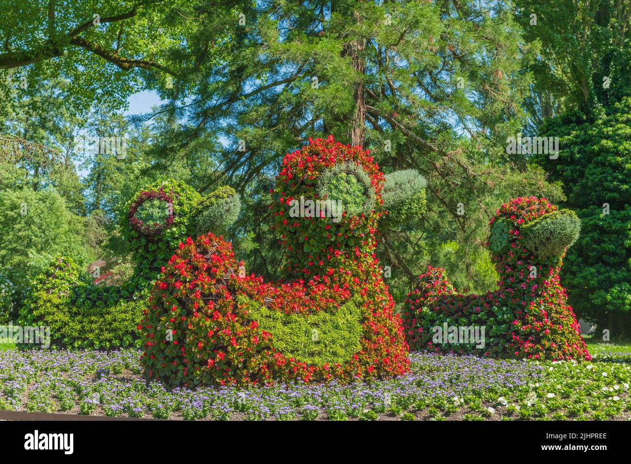 Sculptures de fleurs dans l'île aux fleurs du lac de Constance. Île Mainau, Bade-Wurtemberg, Konstanz, Allemagne. Banque D'Images