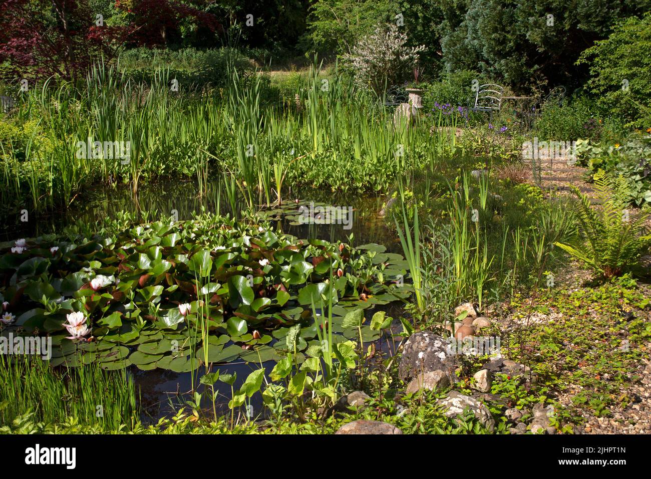 Jardin anglais avec étang ornemental et chemin de gravier avec des dormeurs en bois, Angleterre Banque D'Images