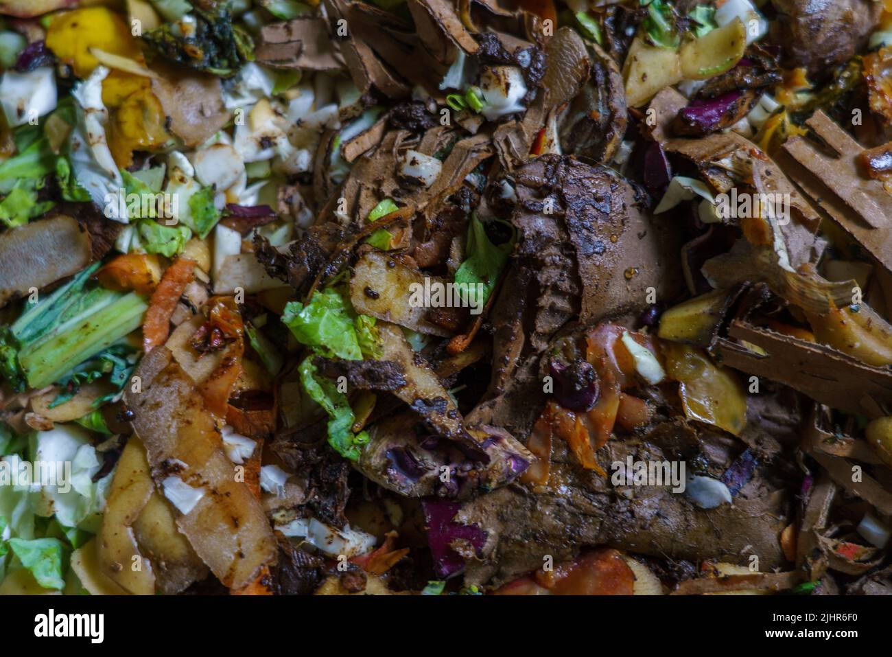 France, Ile de France, Paris 14th arrondissement, déchets alimentaires dans des bacs à vermicompostage, Banque D'Images