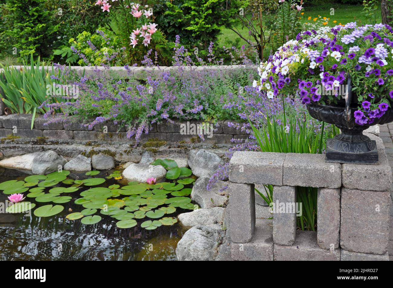Magnifique étang de jardin d'été entouré d'une variété de plantes et de fleurs Banque D'Images
