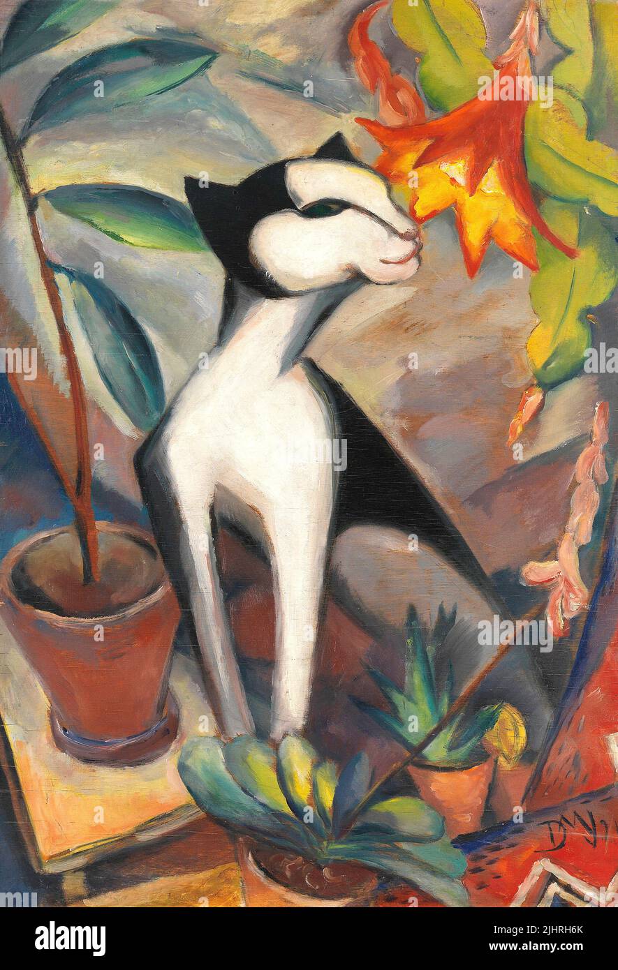 Dorothea Maetzel-Johannsen - chat avec fleur de cactus - 1921 Banque D'Images