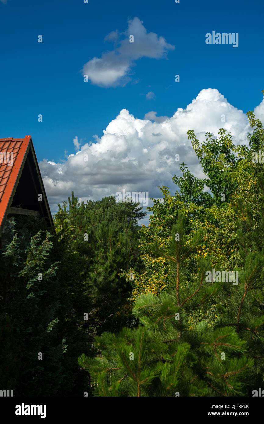 Une photo verticale d'arbres verts luxuriants dans la cour à côté du toit rouge contre le ciel bleu nuageux Banque D'Images