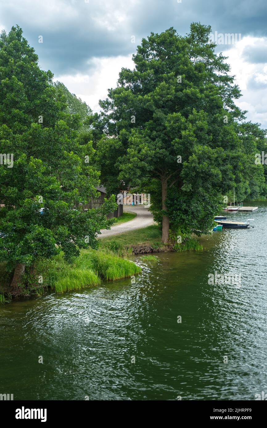 Une photo verticale d'arbres verts luxuriants le long du lac Banque D'Images