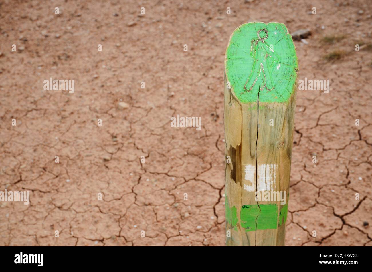 Marquage des traces. Cabezo del Fraile. Bardena Negra. Zone frontalière entre Navarre et Aragón. Parc naturel de Bardenas Reales. Navarre, Espagne, Europe Banque D'Images