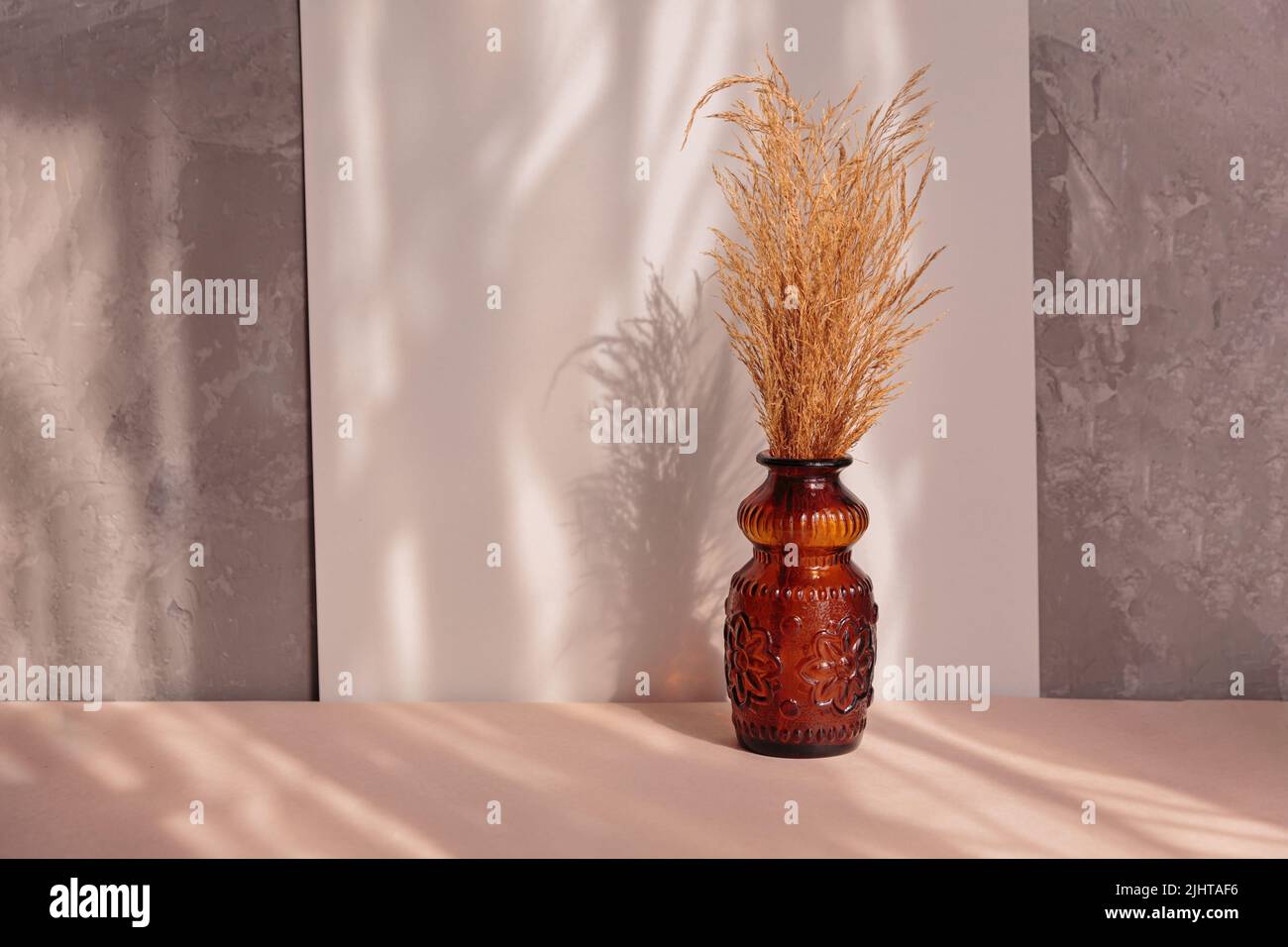Herbe de pampas naturellement séchée dans un vase brun Banque D'Images