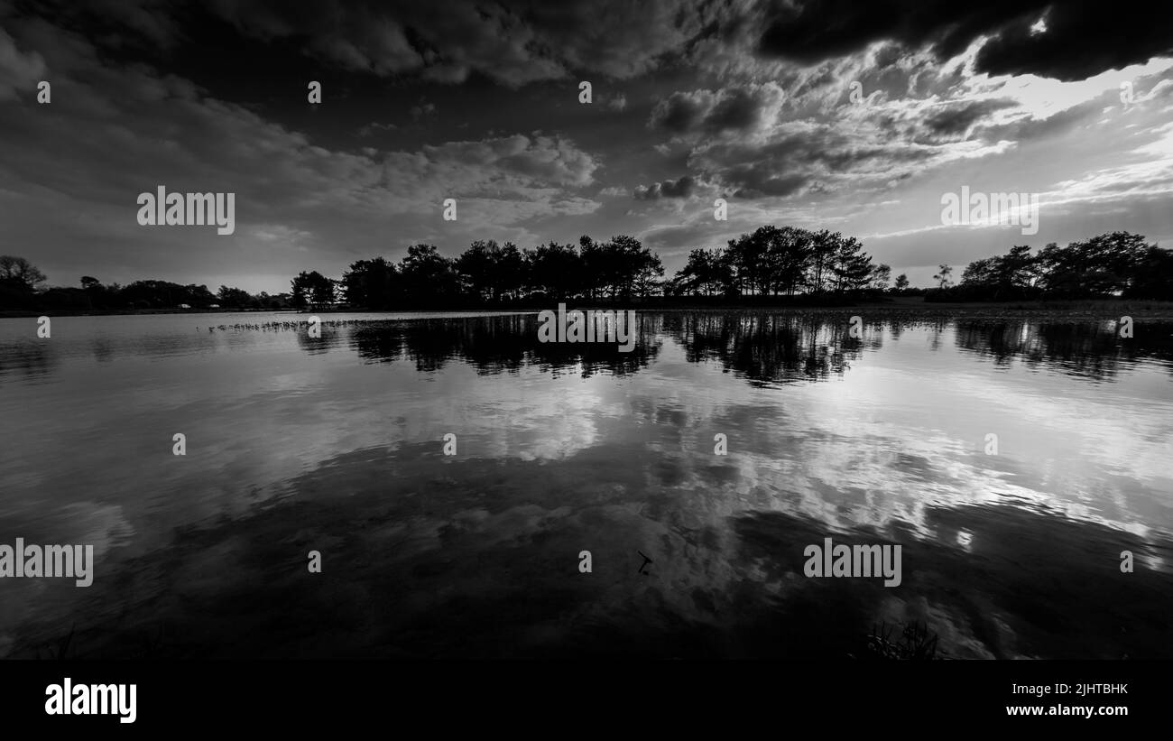 Une échelle de gris de Hatchet Pond avec nuages de tempête, New Forest, Royaume-Uni Banque D'Images