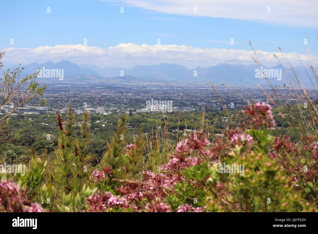 Vue sur la ville. Ville du Cap vue depuis le jardin botanique national de Kirstenbosch Banque D'Images