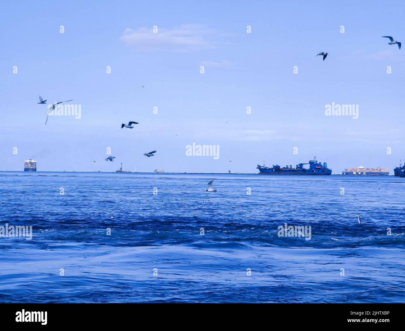 Vol de mouettes et de la pêche par le côté mer avec le fond de l'océan et le ciel bleu Banque D'Images