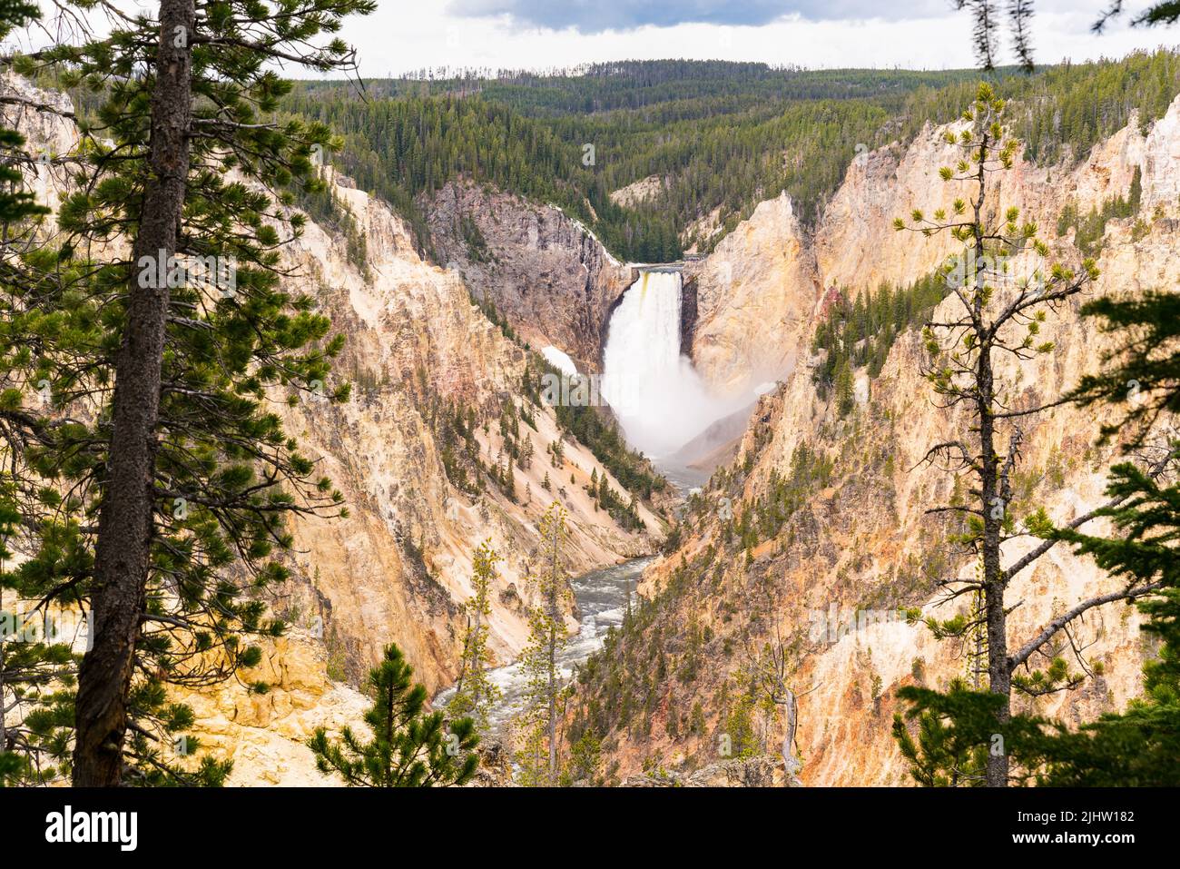 Chutes inférieures de la rivière Yellowstone dans le parc national de Yellowstone, Wyoming Banque D'Images