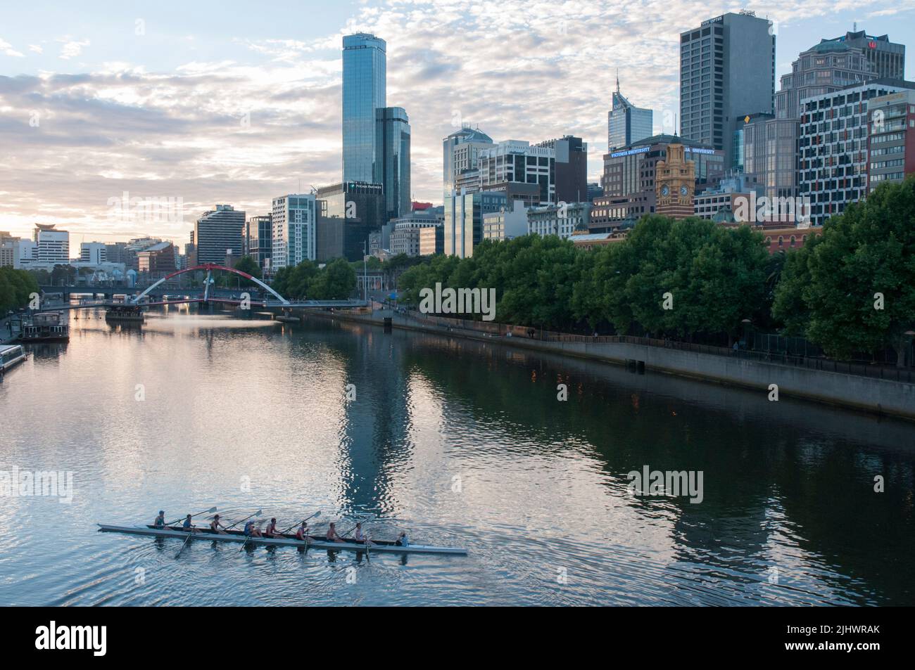 Rameurs sur la Yarra un soir d'été Banque D'Images