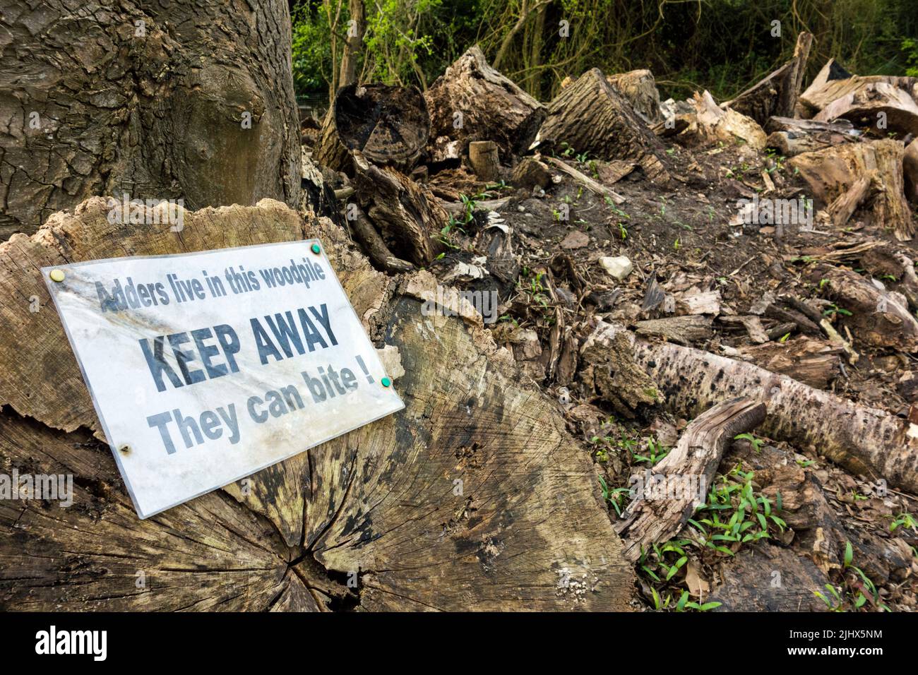 Signe d'avertissement de la présence de serpents Adder dans une pile à bois, Suffolk, Angleterre Banque D'Images