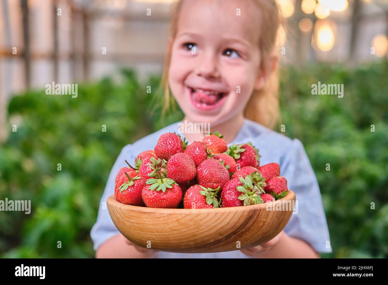 Assiette de petite fille stupéfaite avec des fraises mûres fraîches cueillies ferme de baies biologiques Banque D'Images