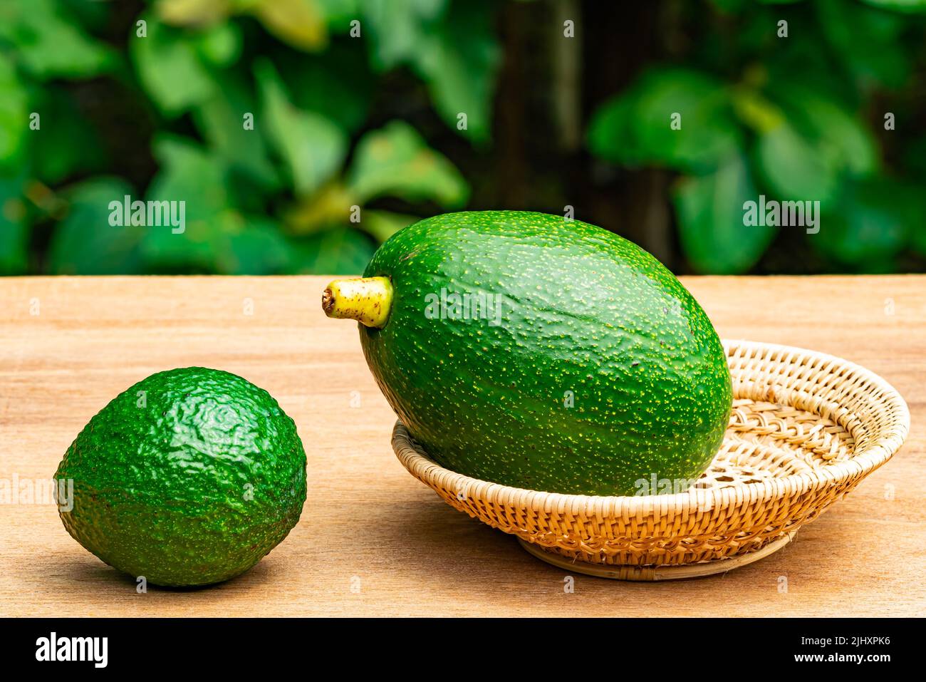 Avocat vert frais dans un contenant en bambou en osier sur une table en bois. Quand l'avocat mûre, la chair extérieure est en fait la partie la plus saine. Banque D'Images