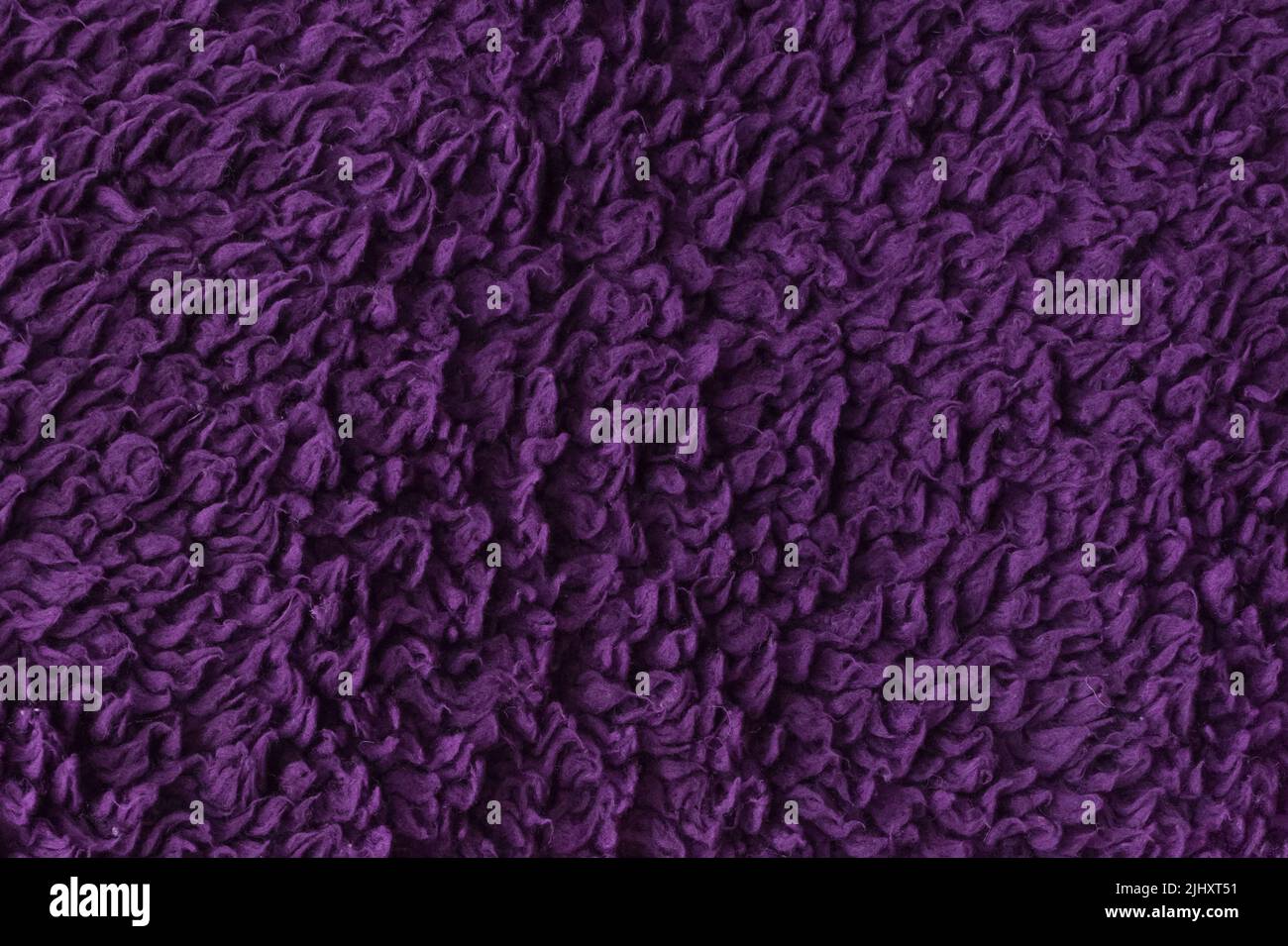 Violet laine texture fourrure fond motif chaud abstrait matière douce animal peluche nature peau violette. Banque D'Images