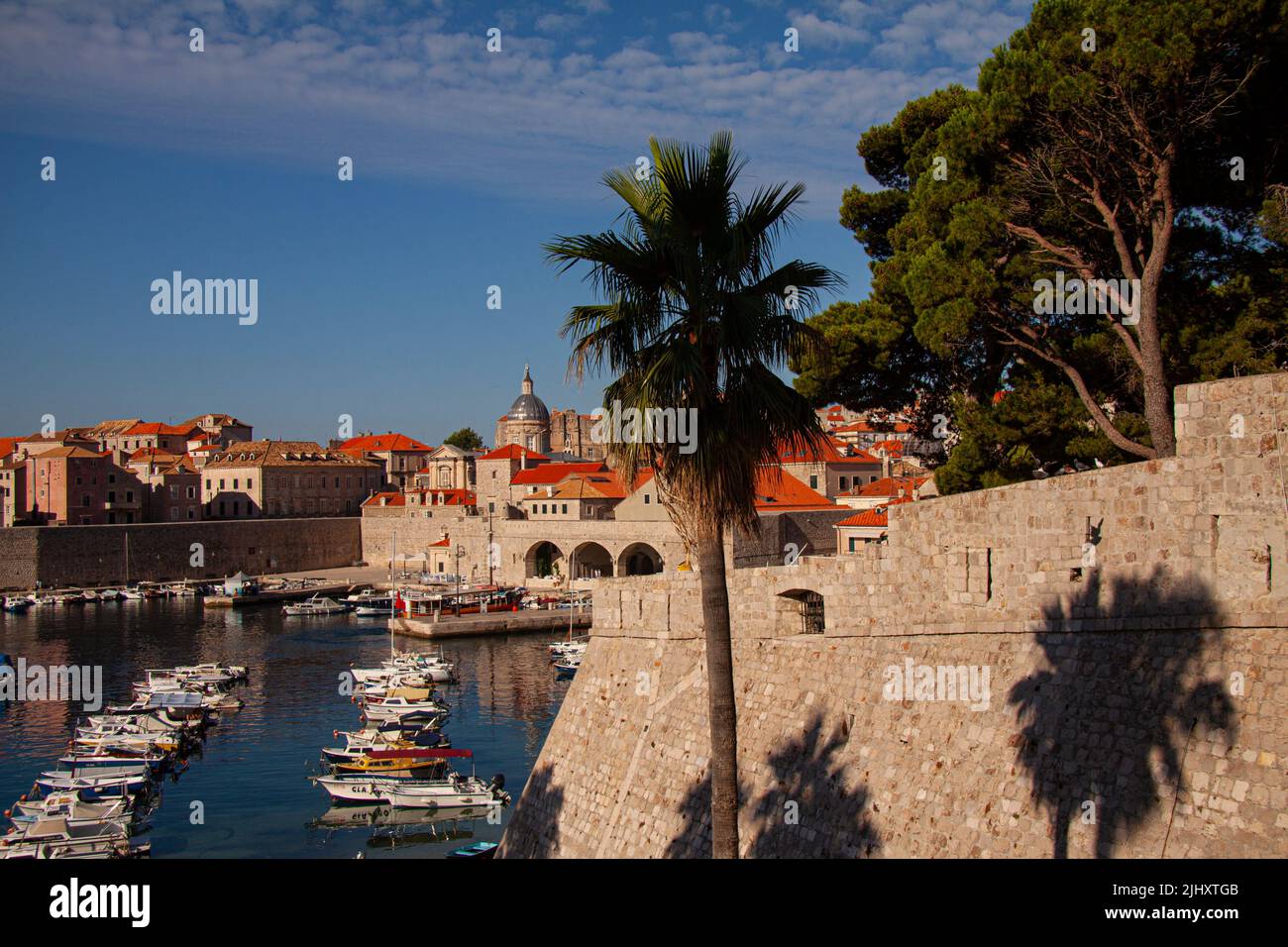 Dubrovnik, Croatie. Vue sur la vieille ville et le port historique depuis le château avec palmiers et ciel bleu. Banque D'Images