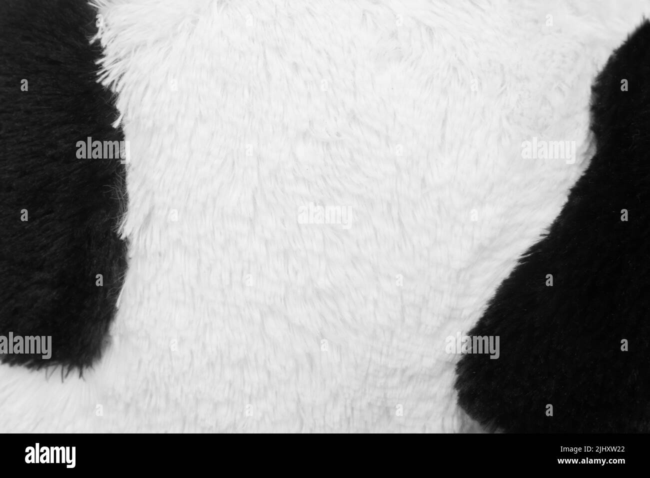 Noir et blanc texture d'animal naturel fond motif Panda Design imprimé abstrait. Banque D'Images